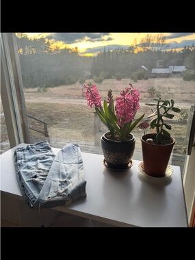 American Eagle Light Wash Distressed Denim Jeans